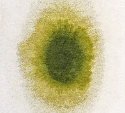 Moderne vloerkleden - Vloerkleed Drop Green Pepper 2105 - Louis De Poortere - Vloerkledenloods