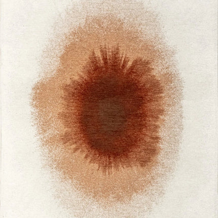 Moderne vloerkleden - Vloerkleed Drop Indian Snow 2106 - Louis De Poortere - Vloerkledenloods