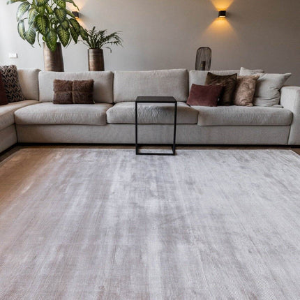 Vloerkleed Felva Viscose Silk Zilver - Vloerkledenloods