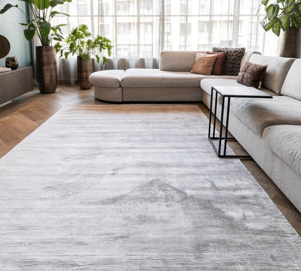 Vloerkleed Felva Viscose Silk Zilver - Vloerkledenloods
