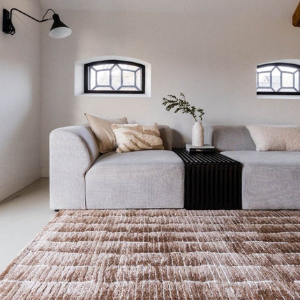 Vloerkleed Rectangle Bruin/Wit - Vloerkledenloods