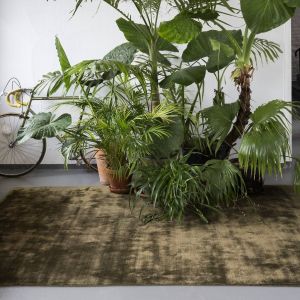 Vloerkleed Donker Groen Treviso Oliva - Perletta Carpets